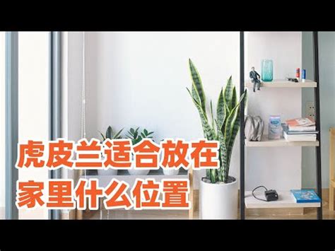 風獅爺可以放房間嗎